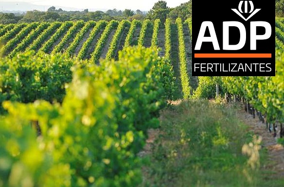 Programa ADP de fertilização da vinha